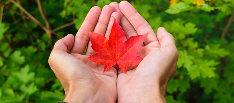 How can we be social on Canada Day but still eat healthy?