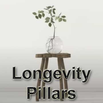 Four Pillars to Longevity: Free Webinar